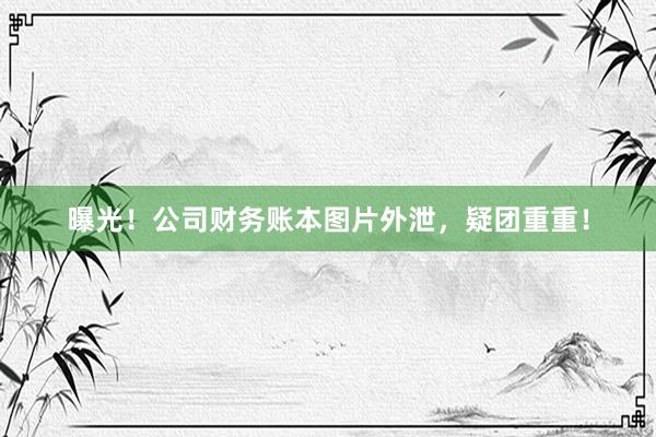 曝光！公司财务账本图片外泄，疑团重重！
