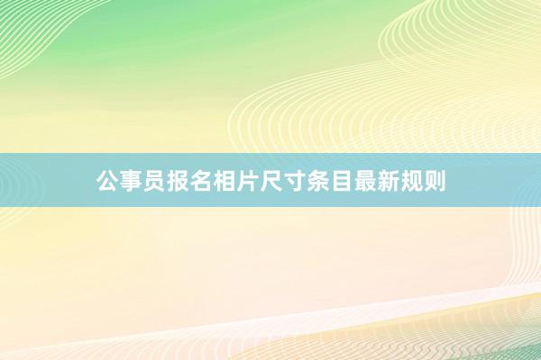 公事员报名相片尺寸条目最新规则